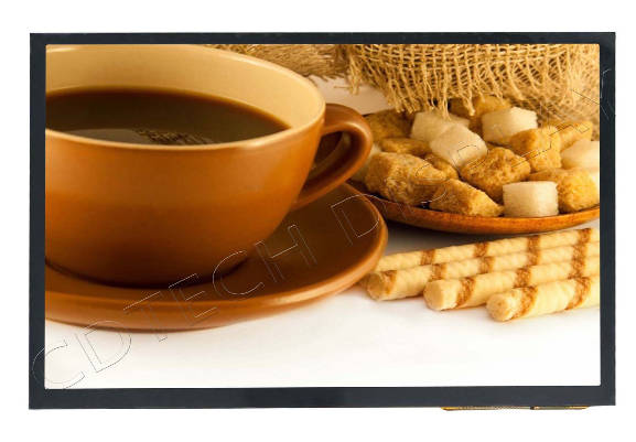 Capacitive Touch Panel